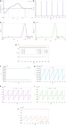 Theoretico-experimental analysis of bistability in the oscillatory response of a TaOx ReRAM to pulse train stimuli